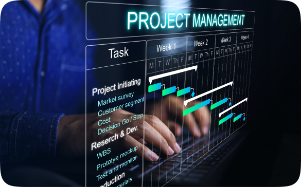 Project Management Excellence